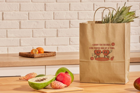 Sacs papier kraft avec anses rondes | Paysdesenveloppes.ch