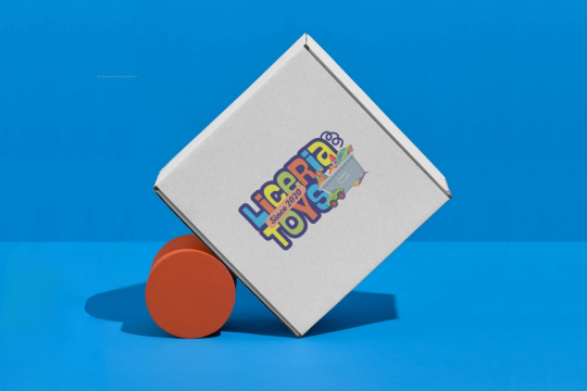 Boîte carton avec fermeture renforcée | Paysdesenveloppes.ch