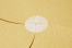 Pastilles adhésives transparentes - 26 mm avec microperforation | Paysdesenveloppes.ch